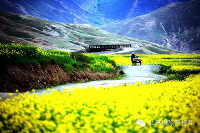 中国最美公路---318国道