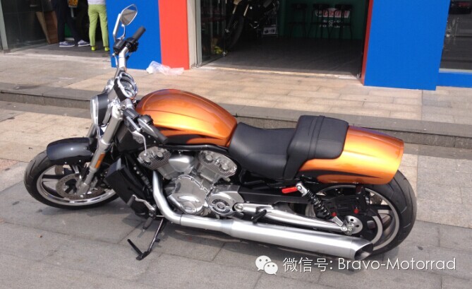 霸气外露的2014款哈雷 V-ROD MUSCLE！