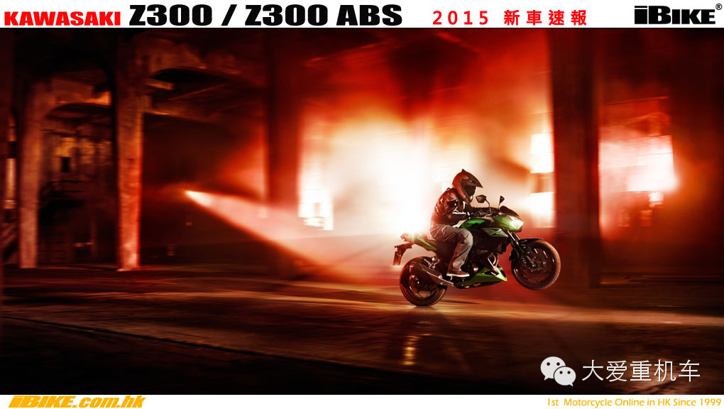 2015款 川骑 Z300 追随忍者300的脚步
