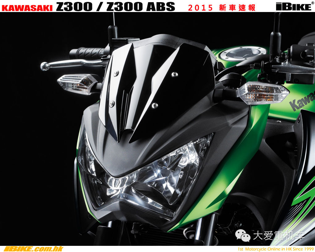 2015款 川骑 Z300 追随忍者300的脚步