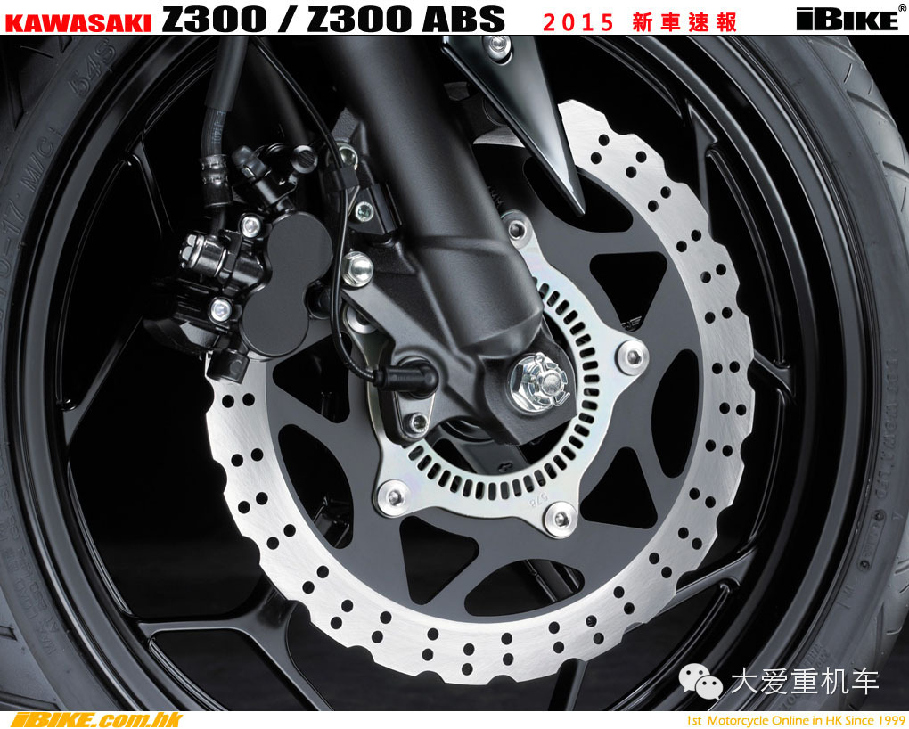 2015款 川骑 Z300 追随忍者300的脚步