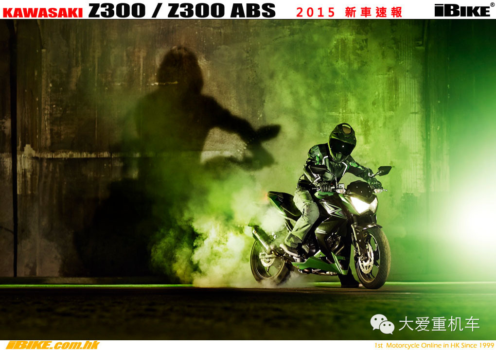 2015款 川骑 Z300 追随忍者300的脚步