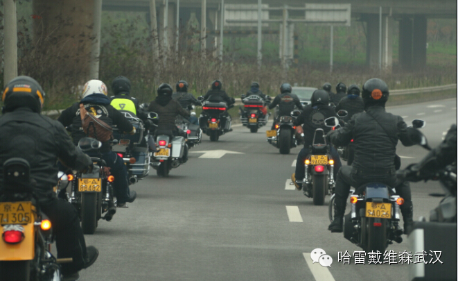 哈雷摩托车，车主会武汉分会咸宁骑行活动图片展览