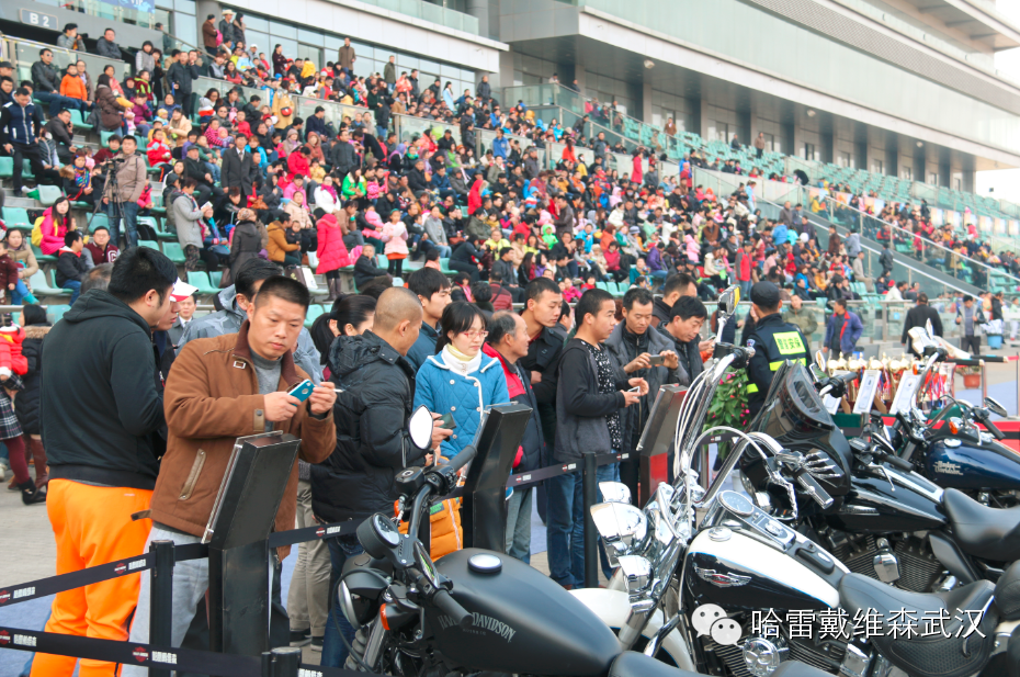 哈雷摩托车亮相2014武汉速度赛马总决赛插图2