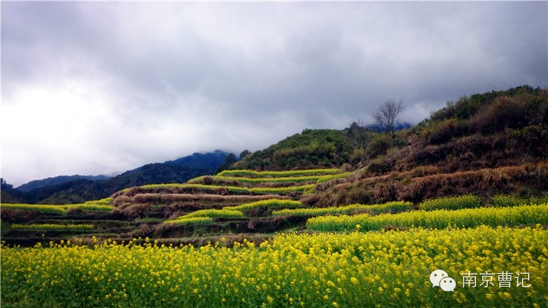 摩托车骑行在中国最美的乡村｜婺源观油菜花