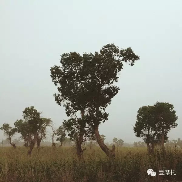 摩旅西北慢记之“南疆行，好似天堂也好似地狱