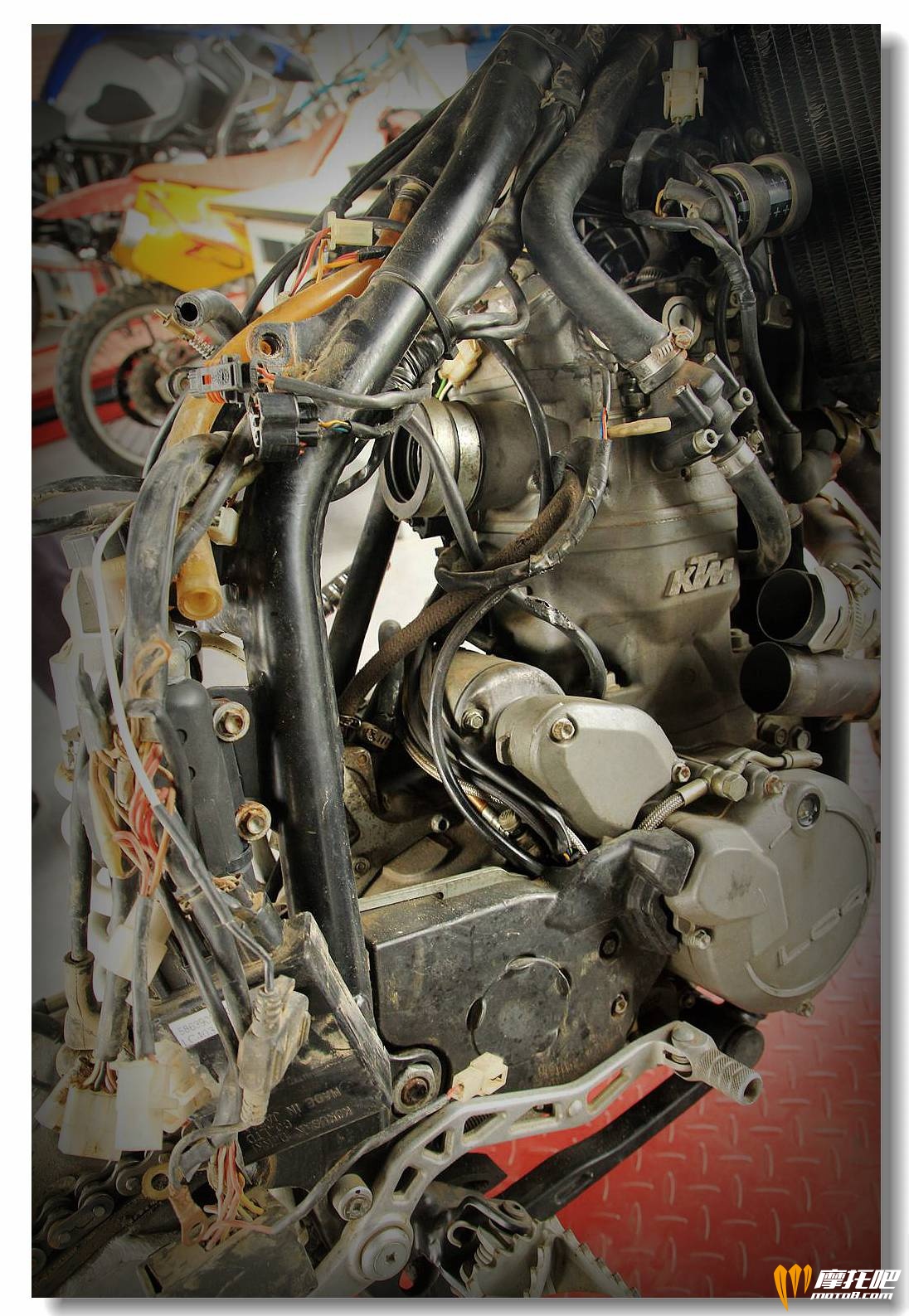 中国有超过一半的车是修坏的！--KTM车友保养实录