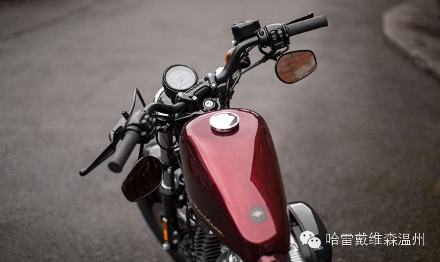 Forty-Eight：叛逆哈雷48为什么叫48？