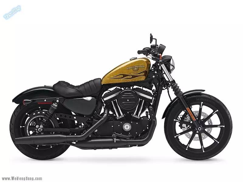 硬汉升级：- 2016款 Harley-Davidson Iron 883