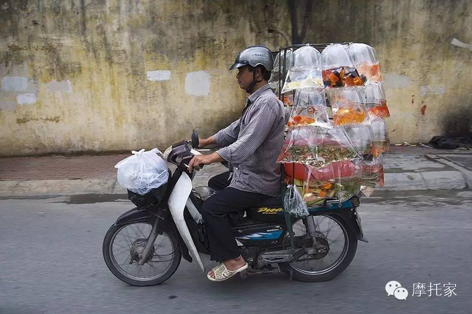 在越南，你摩托不超载都不好意思和别人打招呼！