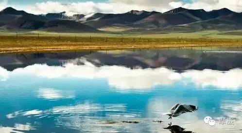 为什么我们都有一个摩旅西藏的梦！