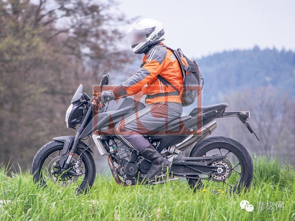                         全新KTM 800DUKE谍照