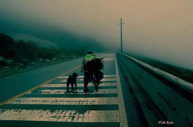 人与狗的邂逅 #骑行2万5千公里，穿越20个国家环游世界