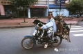 摩托车上的越南：高手在民间