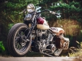 Harley Davidson Panhead | 每日一車