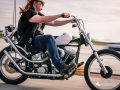 Harley-Davidson Softail | 每日一車